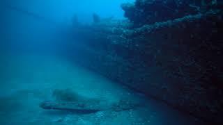 New York Shipwreck, Port Sanilac Michigan June 2021