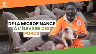 Burkina Faso : De la microfinance à l’élevage des porcs