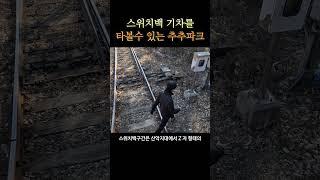 스위치백 트레인을 타볼수 있는 하이원추추파크