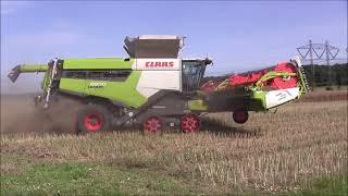 CLAAS LEXION 8900 och NEW HOLLAND CR10.90 skördar raps på Barsebäck Gods