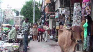 The market of Vadodara (Gujarat - India)