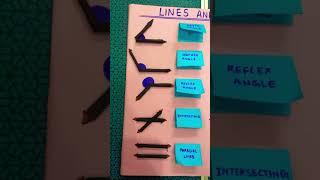 Lines and angles model