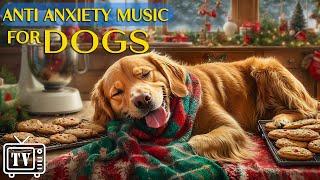 Dog TV: Calm Your Dog’s Stress with Anti-Anxiety Music | Deep Sleep Music for Dogs & Video for Dogs