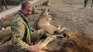 Lion Park "Taigan" in Crimea. Interview with founder Oleg Zubkov