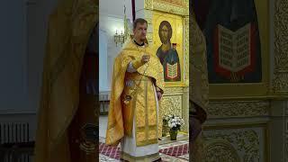 Храм Владимирской иконы Божией Матери в Саратове и гимн "Агни Парфене"