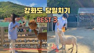 강화도 당일치기 재미있는 여행코스 3곳이면 충분합니다 | 아시아에서 제일 긴 루지체험  | 알파카 성지 프랜쥬랜드 | 강화석모도미네랄온천 |서울근교 | 커플 브이로그 [VLOG]