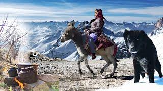 Village Lifestyle Iran: Amazing Cooking & Donkey Riding By A Girl