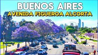 【4K】Paseo por BUENOS AIRES - Av. Figueroa Alcorta y el Color de sus JACARANDÁS | Walking Tour