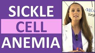 Sickle Cell Anemia Nursing | Symptoms, Pathophysiology, Sickle Cell Crisis & Trait