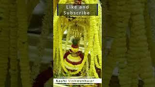 श्रृंगार दर्शन | काशी विश्वनाथ | kashi vishwanath | Shrungar Darshan |