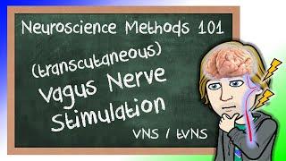 Vagus Nerve Stimulation Explained! (VNS/tVNS) | Neuroscience Methods 101