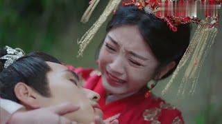 Badly Wounded Cat Prince Passed Out, XiaoHe Cried Her Eyes Out 少將軍重傷昏死，小薄荷無助痛哭 | Be My Cat 我的寵物少將軍