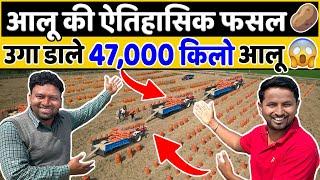 ये खेती नहीं शेयर मार्केट है, पानी की तरह मिलेगा पैसाProfitable Potato Farming | Indian Farmer