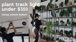 transforming my plant shelf with budget-friendly lighting 🪴