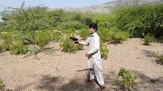 Jabran Afridi First Time Firing on Beretta Fs92 (9mm) Darra Adam Khel #Shorts