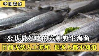 公认最好吃的6种野生海鱼，目前无法人工养殖，你吃过几种呢？