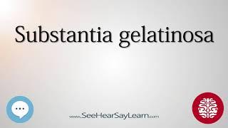 Substantia gelatinosa   Anatomy of the Brain   SeeHearSayLearn 