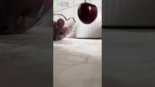 Хреновый урожай черешни #юмор #csbsvnnq #прикол