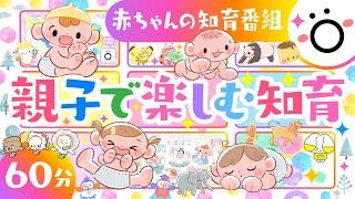 【赤ちゃんが泣きやむ60分メドレー】親子で楽しむ知育アニメ│赤ちゃんが喜ぶ歌　笑ううた 寝る癒し音楽│乳児/幼児/家族向け「ソポアートパーク公式」【知育】