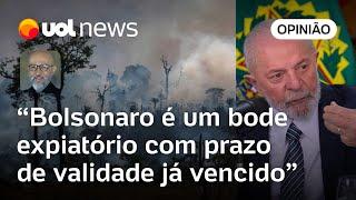 Queimadas: Lula precisa mostrar resultados; não dá mais para só culpar Bolsonaro, diz Josias