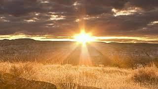 Super Woofer - Light of Sun