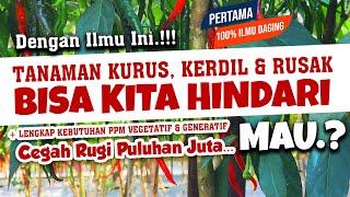 100% ILMU INI DAGING.!!! AGAR TANAMAN TIDAK KURUS, KERDIL & RUSAK. MAU.?? | Subur, Sehat, Lebat