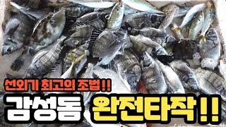 선외기낚시 필살채비!!! 풍화리표 4종 모듬회 즐기기!!