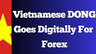 Iraqi Dinar - Vietnamese DONG Goes Internationally for Forex Trading Budget IQD Fore