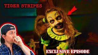 EXCLUSIVE EPISODE - Tiger Stripes | MrBallen Podcast Strange, Dark & Mysterious Stories