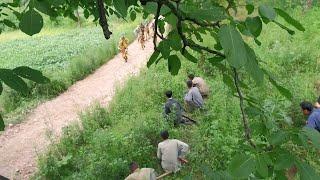 Anti-Japanese Movie:Japanese force sweeps the mountains,unaware that guerrillas are lying in ambush.