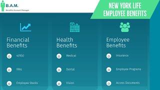 New York Times Employee Benefits | Benefit Overview Summary