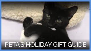 PETA's Holiday Gift Guide: Companion Animal–Approved!