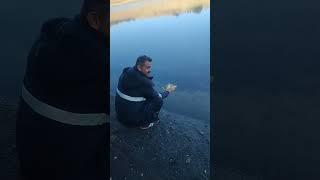 balık salımı #doğa #fishing #sazanavi #shortvideo #camping #fish #gölet#new#aboneol #carpfishing