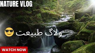 ولاگ طبیعت و کمی صحبت ️