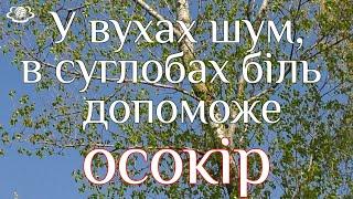 У вухах шум, в суглобах біль  - допоможе ОСОКІР