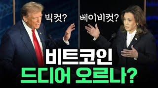 비트코인 다시 반등하나?