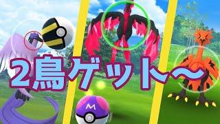 【ポケモンGO】マネしてください、ガラル三鳥を必ずゲットできますよ！