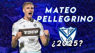 TODOS LOS GOLES de MATEO PELLEGRINO, ¿EL PRIMER REFUERZO DE VELEZ EN 2025?