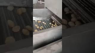 fully automatic panipuri frying machine frytech