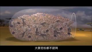 畜牧業的陰謀 精華版 | 李奧納多監製 COWSPIRACY Short Version