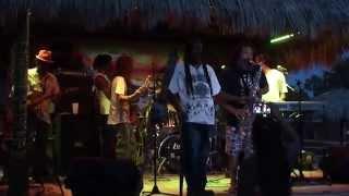 FLORIDA REGGAE BAND TROPICAL SOUL  LIVE