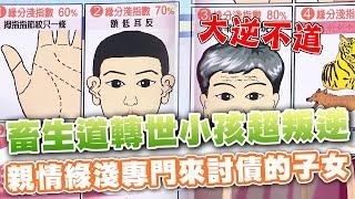 畜生道轉世小孩超叛逆？親情緣淺專門來討債的子女！(精選回顧)