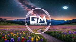 Midnight Revolutions | EDM | GM - Griznoi Music