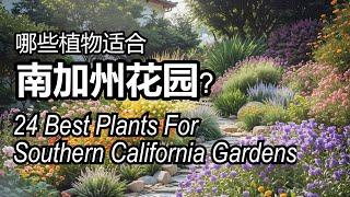 南加州花园适合的24种植物，24 Best Plants For Southern California Gardens