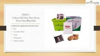 Gift One Tree Grow Your Own Kit - Do it Yourself Step by Step Guide