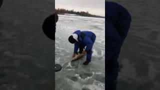 Big pike Ice fishing 22/24/2016