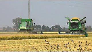 John Deere S660i - John Deere 9780i CTS mietitura riso / rice harvest 04/10/2014