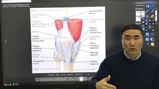 [홍정기교수] 무릎통증완화에 좋은 자가근막이완테크닉