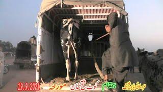 hamza sky video fateh jang