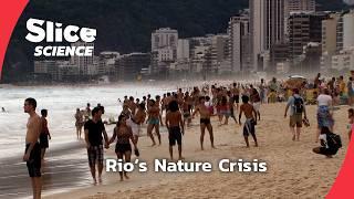 Rio’s Ecological Transformation: Can Nature Be Saved? | SLICE SCIENCE | FULL DOC